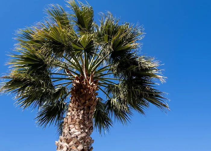 Votistis A1 Lefkáda